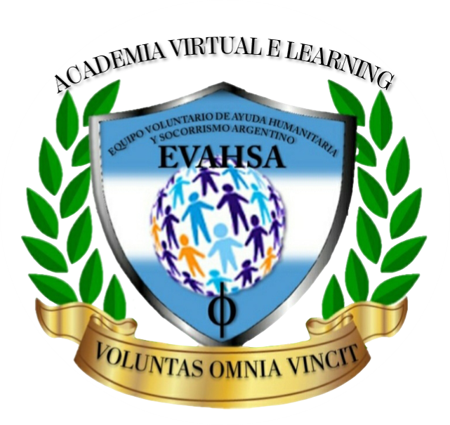Academia virtual E LEARNING